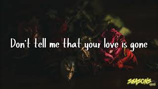 SLANDER - Love Is Gone ft  Dylan Matthew (Acoustic) - Lyrics.