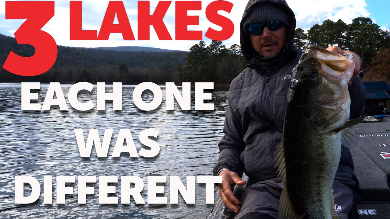 Catching BIG Bass On Multiple Lakes (Winter Time Fishing)