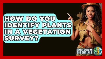 How Do You Identify Plants In A Vegetation Survey? - Ecosystem Essentials