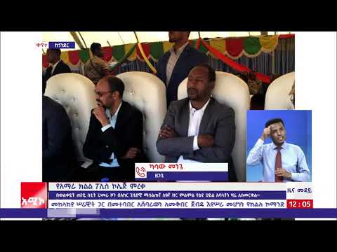 ቪዲዮ: ካምፓሪን መሠረት በማድረግ ምን ዓይነት ኮክቴሎች ሊዘጋጁ ይችላሉ