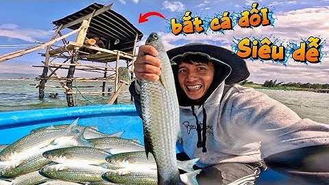 Harder vangen aan het begin van het seizoen, het leven ervaren in een kleine hut midden op zee | ...