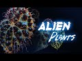 Otherworldly Houseplants 2023! | Alien Plants