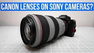 Canon EF L lenses with Sony camera bodies   4K