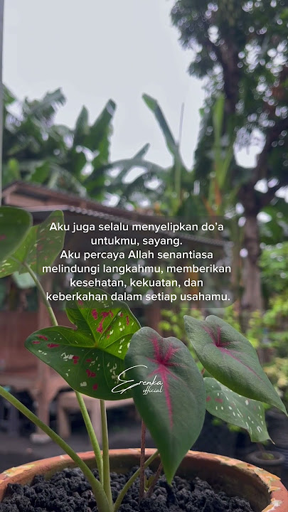 Suamiku sayang♥️ #fyp #foryoupage #trending #iphone13 #keluargabahagia #quotes #sayangsuami