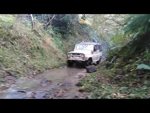 გოგეს ვილისი