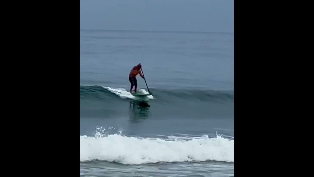 SUP Surfing Clean Small Wave Hawaii Sup Supsurfing Waves Standuppaddle Paddle