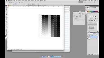 Digital Negatives step 2