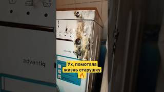 Ух, помотала жизнь старушку