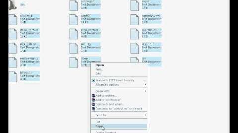 How to run multiple bot in one folder