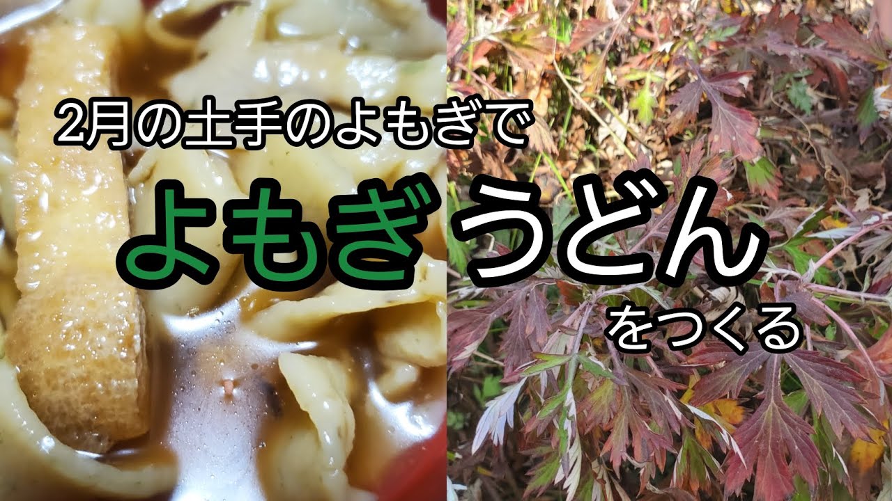 冬の蓬(よもき)で[よもぎうどん]作り 2月の赤いよもぎを使いました - YouTube