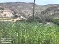 صور من أرض آل عوذلة مكيراس عريب ثرة لودر 