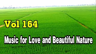 Rhumba and ChaCha melody, Music for love and beautiful nature, New relaxing music vol 164