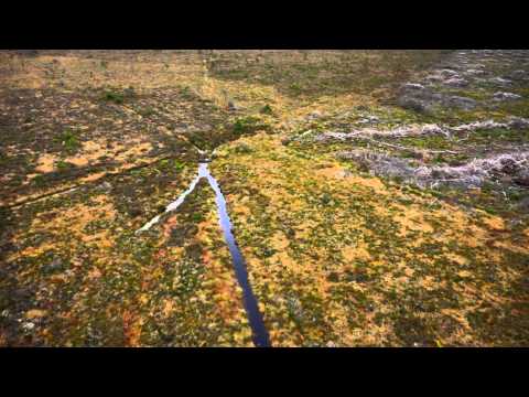 Highlights video - Demonstrating Best Practice in Raised Bog Restoration in Ireland