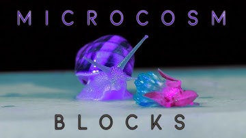 Hologram Electronics Microcosm // 1 mode 1 song // ep.2 // BLOCKS mode (snail from outer space)