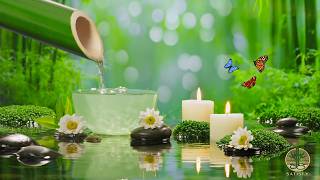 Calming Music for Sleep, Relax🌿 Soothing Water Sounds, Piano Relaxing Music, Stress Relief Music screenshot 1