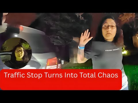 Attitude Problem Turns Routine Traffic Stop Into a Nightmare - YouTube