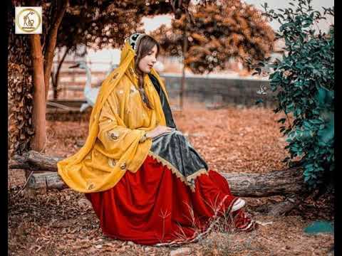 پیوند موسیقی محلی ایران شمالی کردی لری خوانندگان سعید صالحی و نرگس مختاری