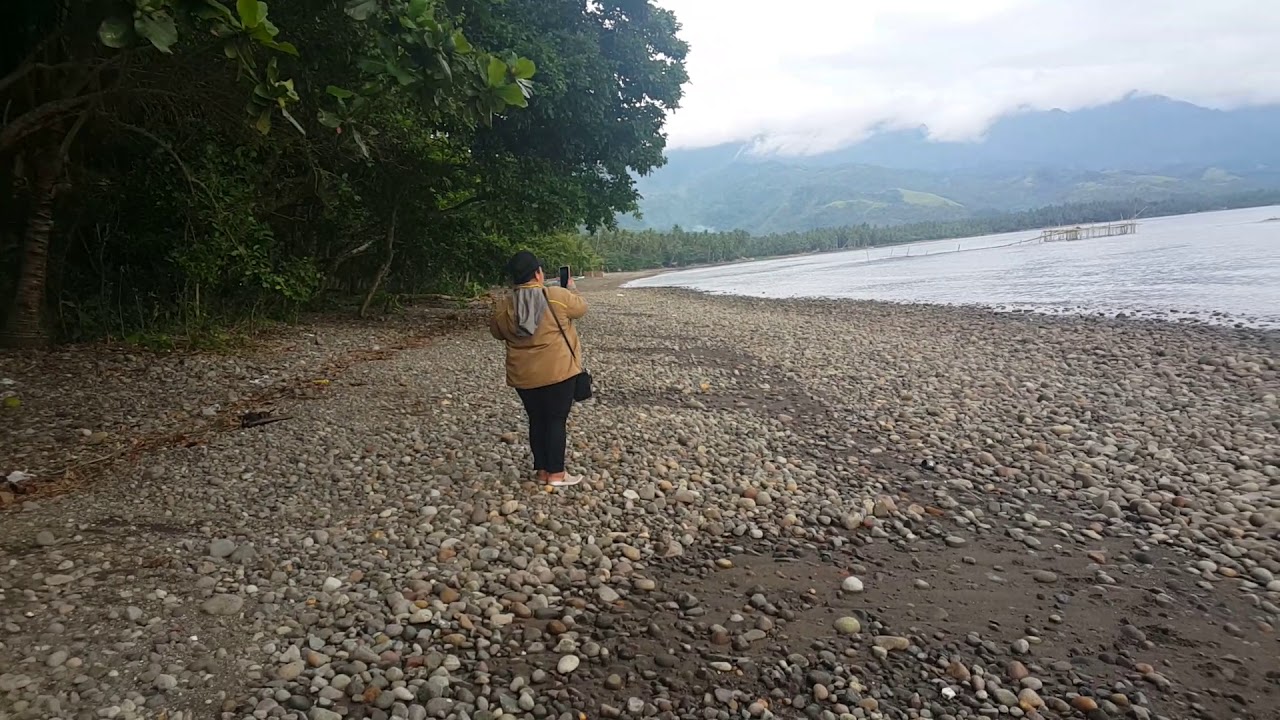 BEACH LOT FOR SALE in Sogod Leyte 2.5 million YouTube