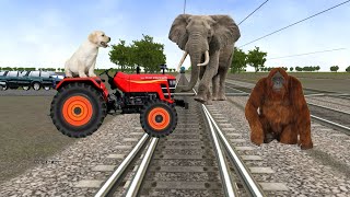 August 26, 2023 tractor & train vs dog and elephant save gog & funny vfx