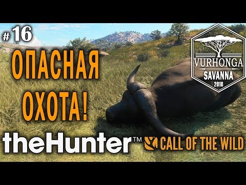 Видео: theHunter Call of the Wild #16 🔫 - Опасная Охота - Лук, Арбалет - Буйвол, Гну