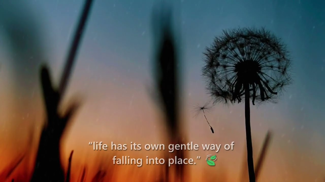 GLORY - Stress Relax