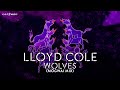 LLOYD COLE &#39;Wolves&#39; (Mogwai Mix) - Official Video - New Album &#39;On Pain&#39; Out Now