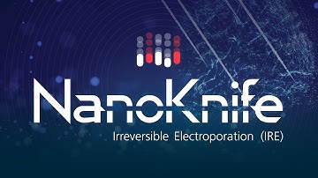 The NanoKnife System