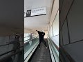 タイミング完璧ww Chinadance カンカンカンダンス Shorts タイミング完璧ww Chinadance カンカンカンダンス Shorts