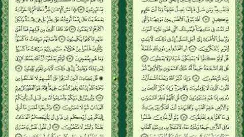 سورة الزمر الشيخ عادل يوسف