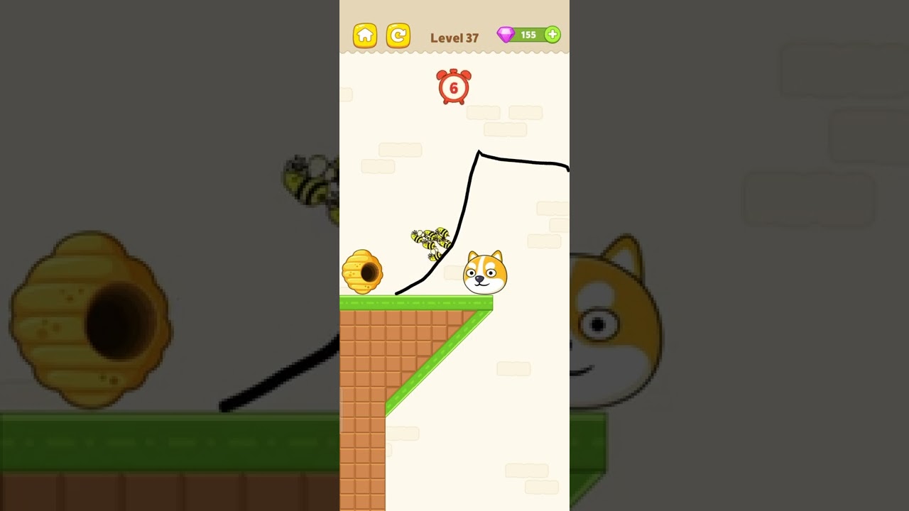 Save The Dog - Dog Escape Level 37