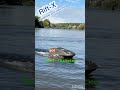 Rift-X карповий кораблик для рибалки прикормки Falcon 3542