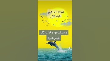 سورة ابراهيم #دويتو #تيك_توك #لايك #دعاءمستجاب # قران#quran