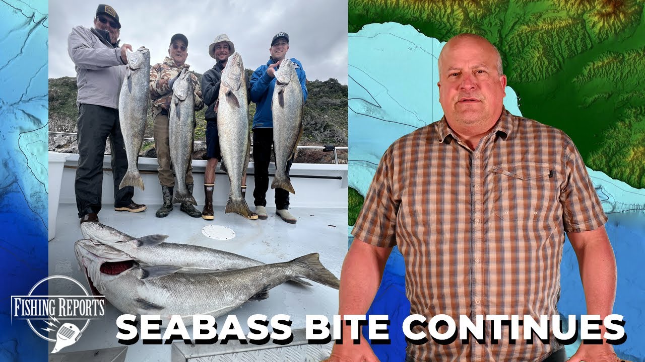 Southern California Bight  FISHING REPORT  04/17/2025