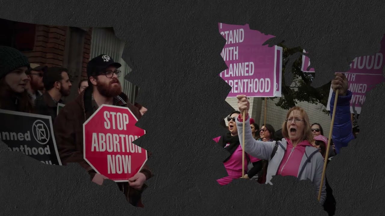 Healing the Culture and the Pro-Life Movement