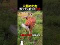 人間の力を知ってしまったシカ