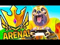 CHAMPION ARENA but on CONTROLLER