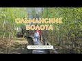 Поездка на Ольманские болота