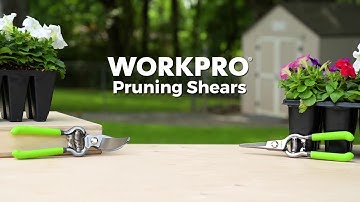 WORKPRO® Tools | 2PC 8" Pruning Shears Set🌿