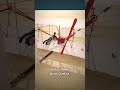 Wright Brothers' Flight Changed History Forever!