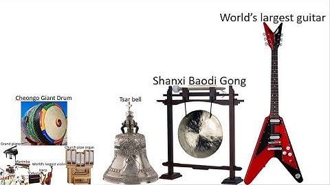 Musical Instruments Size Comparison HD (ft. @reigarw)