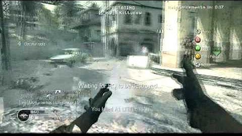 Call of Duty Invincible Mod