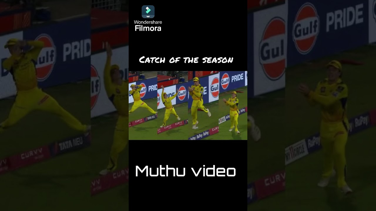 Dewald brevis catch 😌