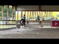 Kristina Pruitt And Knighttime PhanTsy VHS Online Dressage Show Tuscan Dressage Club