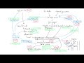Introduction to Oral Anti Diabetics, Type 2 Diabetes, Semaglutide