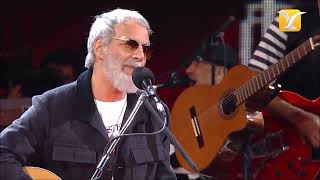 Wild World - Cat Stevens Yusuf (Subtitulos Español) #catstevens #wildworld #subtitulosespañol