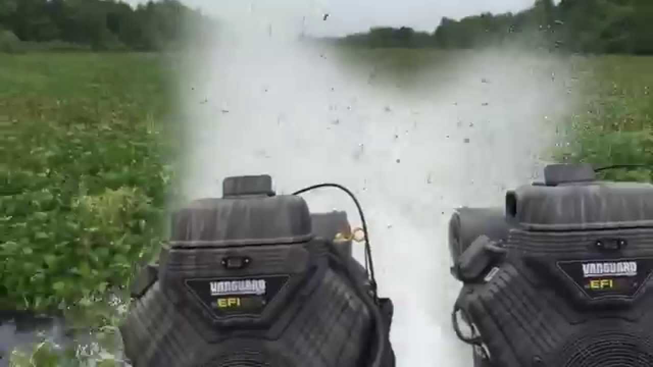 Dual Gator Tail in Lilly's YouTube