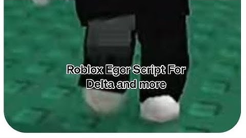 ROBLOX EGOR SCRIPT FOR YOU