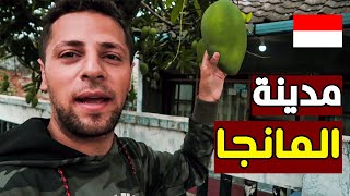 رحلتي الى مدينة الروقان | شيربون Cirebon 🇮🇩