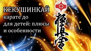 Кекушинкай карате для детей: плюсы и особенности тренировок. Кекушинкай карате для детей: плюсы и особенности тренировок.