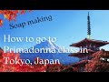 How to go to Primadonna class in Tokyo, Japan.